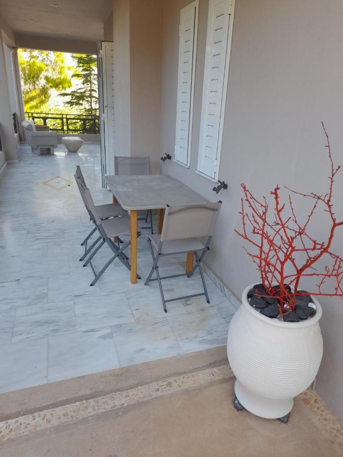 Suite With Garden Agia Marina  Exteriér fotografie