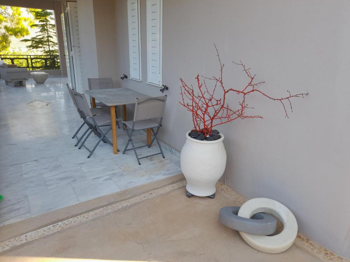 Suite With Garden Agia Marina  Exteriér fotografie